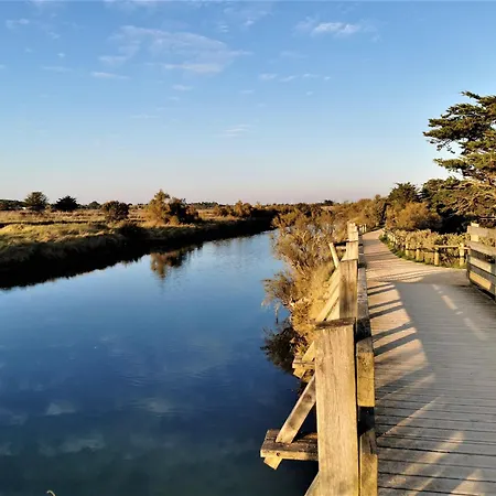 Rose Tremiere Proche Casa vacanze Les Sables-dʼOlonne